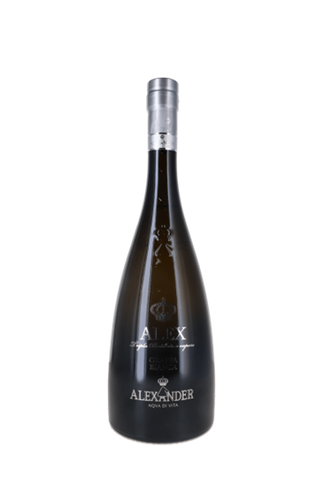 Alexander Grappa